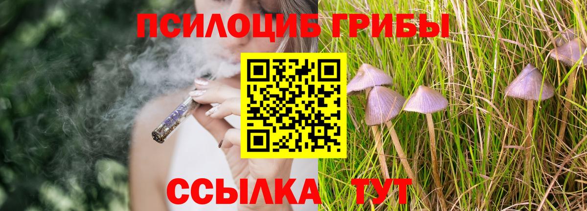 Галлюциногенные грибы прущие грибы Егорьевск