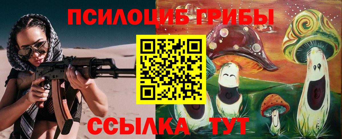 Галлюциногенные грибы мухоморы  Галлюциногенные грибы мицелий  Вход с VPN  продажа наркотиков  Егорьевск 